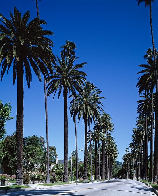 **Vuelos** Guadalajara Los Angeles